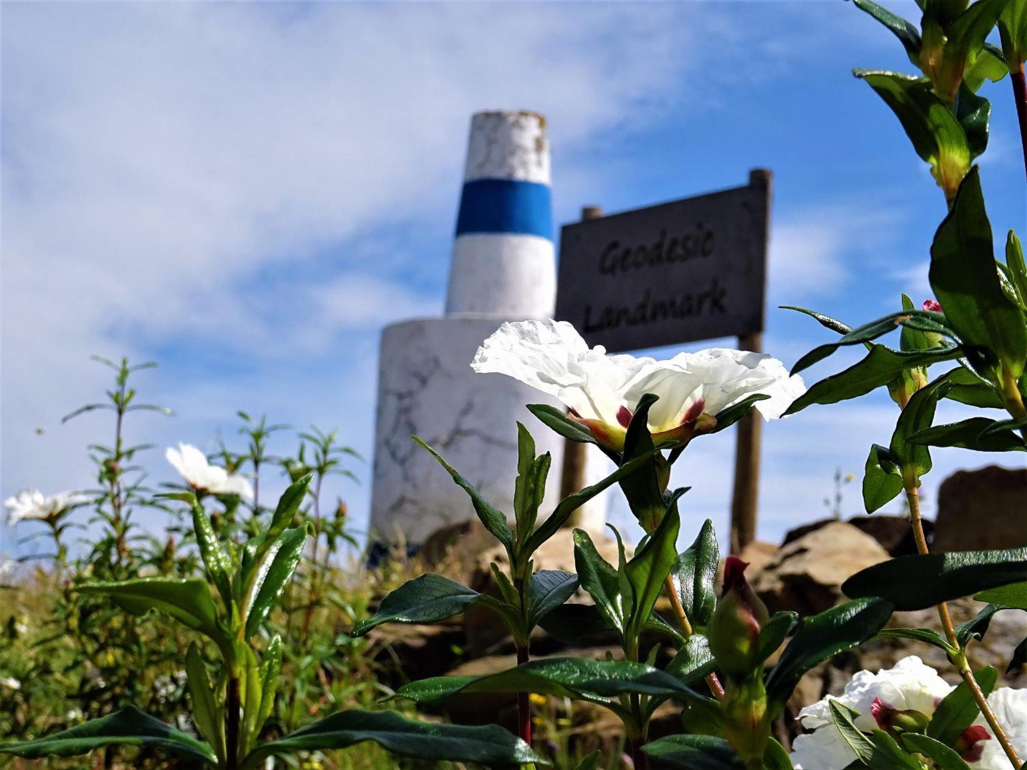 Monte Do Alento - Castro Da Cola Guest House Alcaria  Екстериор снимка