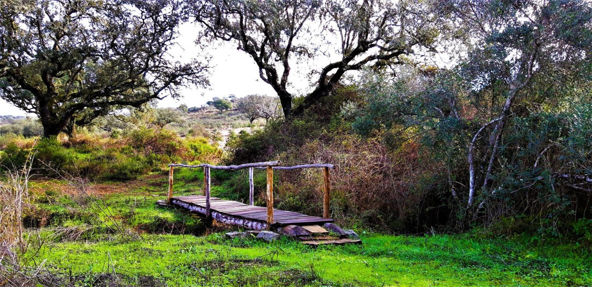 Monte Do Alento - Castro Da Cola Guest House Alcaria  Екстериор снимка